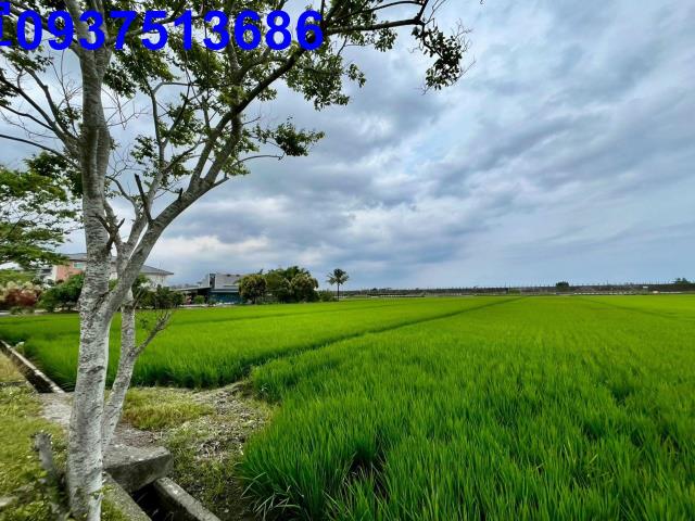宜蘭壯圍農地-3