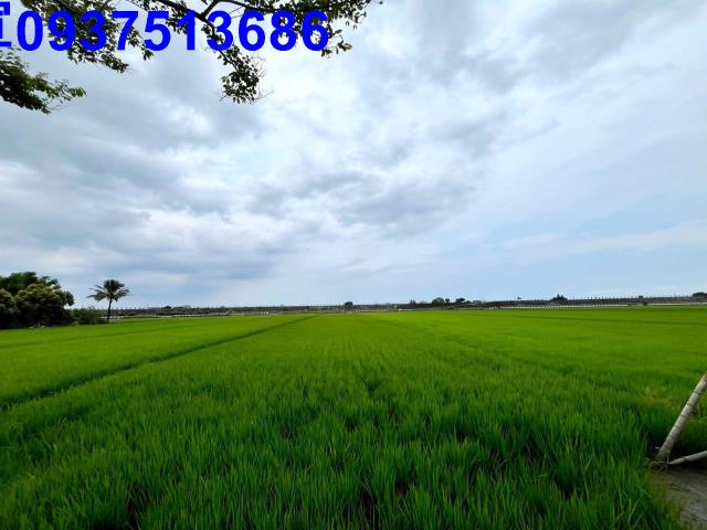 宜蘭壯圍農地-4