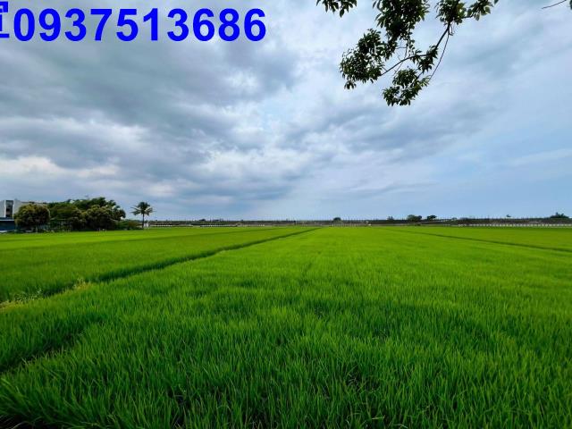 宜蘭壯圍農地-6
