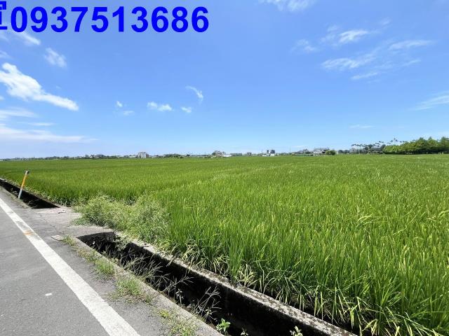 宜蘭壯圍農地-3