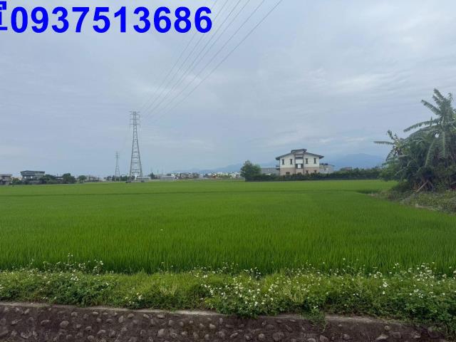 宜蘭宜蘭市農地-14