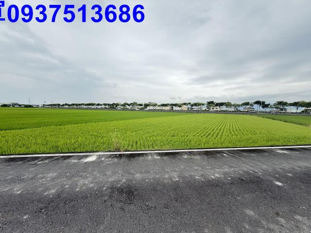 宜蘭五結農地-15