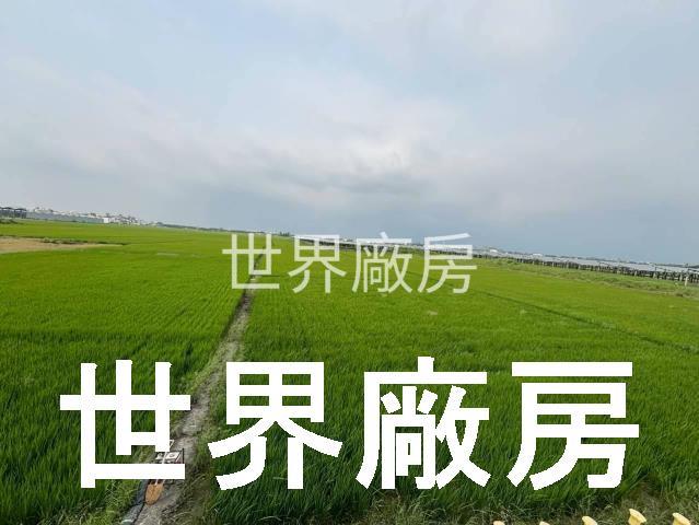 屏東東港農地-1