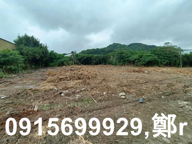 鶯歌農地-4