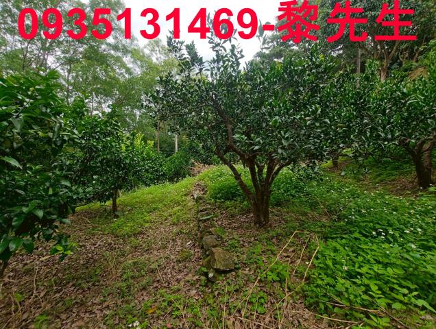 北埔農地-1