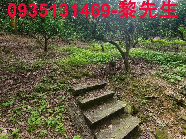 北埔農地-4