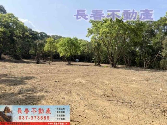 苗栗市農地-7