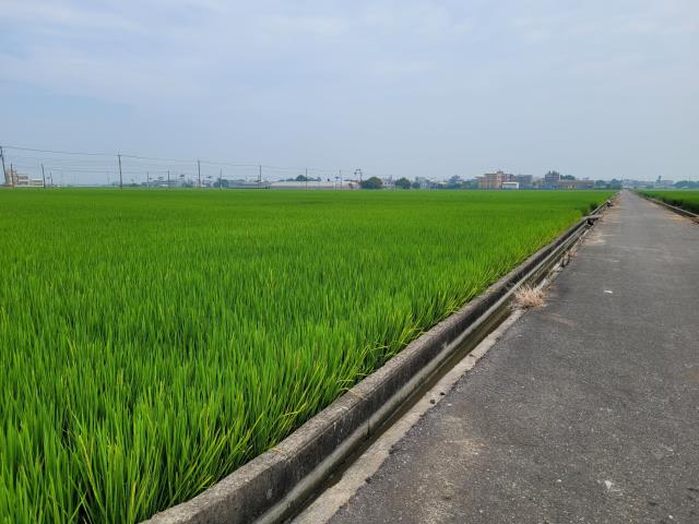 六腳農地-5