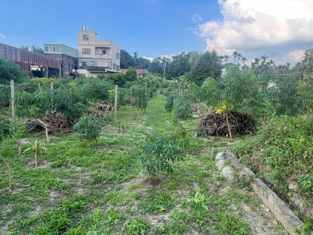 東勢農地-2