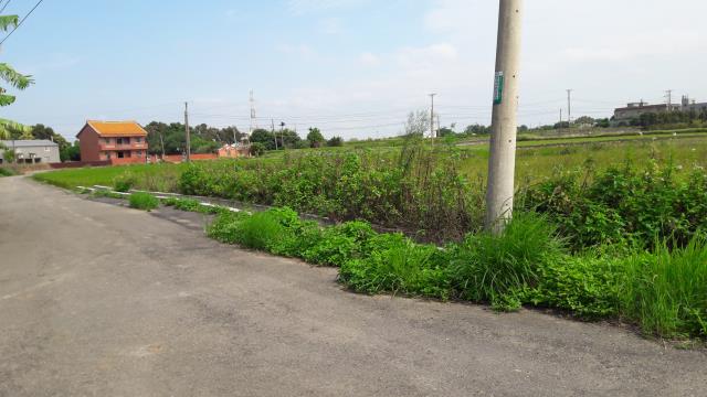 桃園農地-3