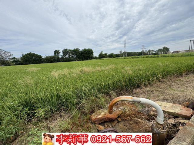 台南農地-9