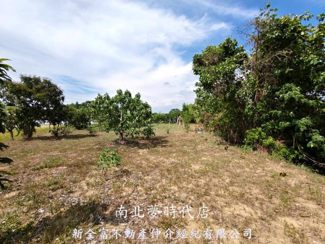 台南玉井農地-11