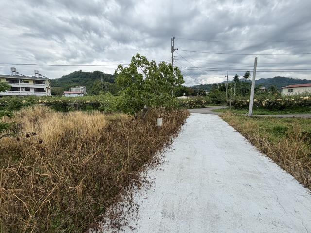 台中東勢農地-3