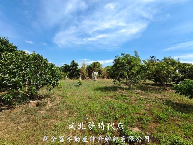 玉井農地-1