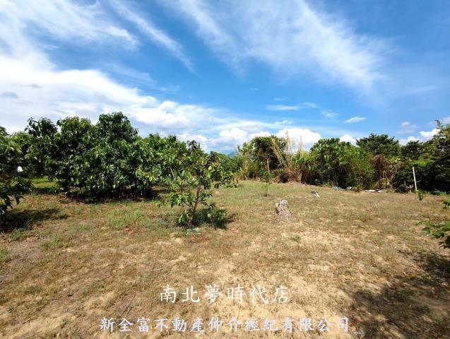 玉井農地-5