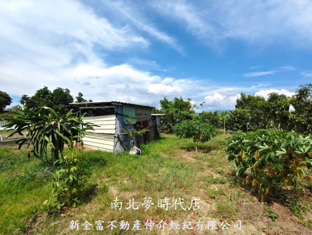 玉井農地-6
