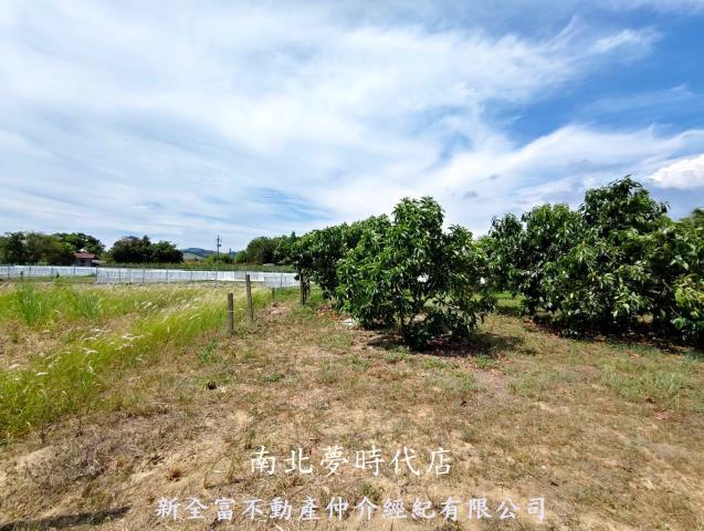 玉井農地-8