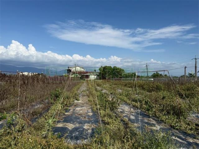 美濃農地-12