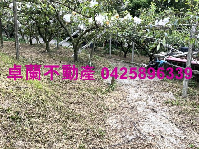 卓蘭農地-11