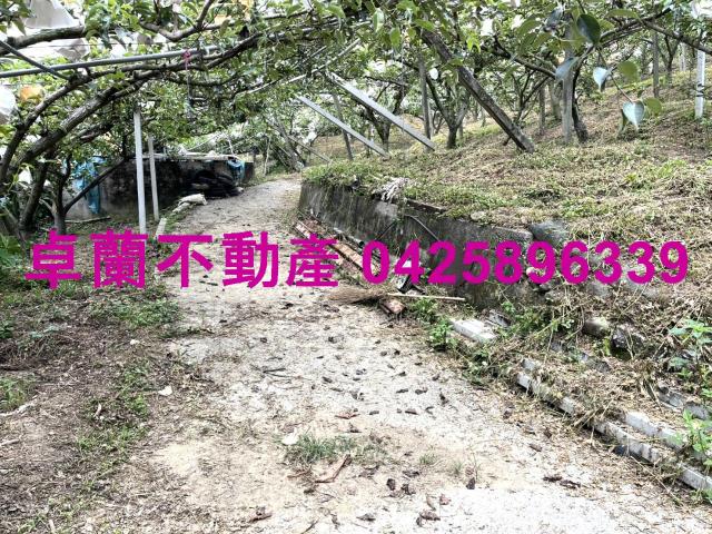 卓蘭農地-7