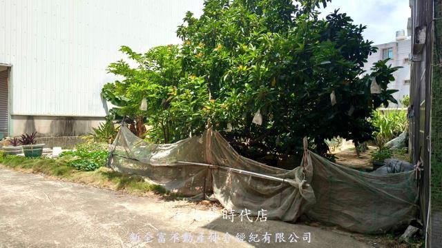 新市建地-11