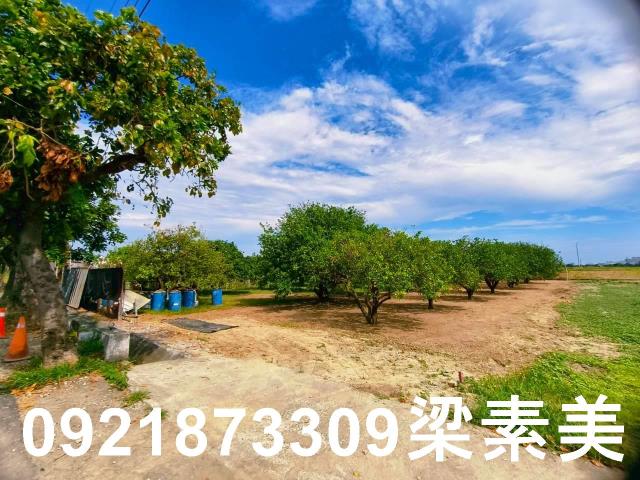 台南佳里農地-3