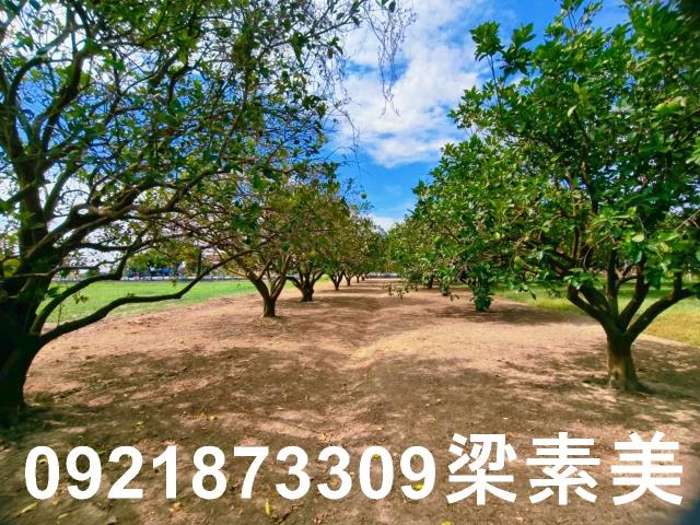 台南佳里農地-7