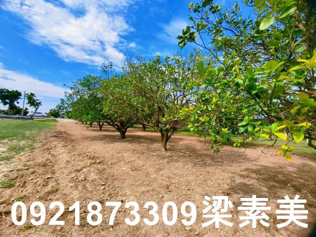 台南佳里農地-9