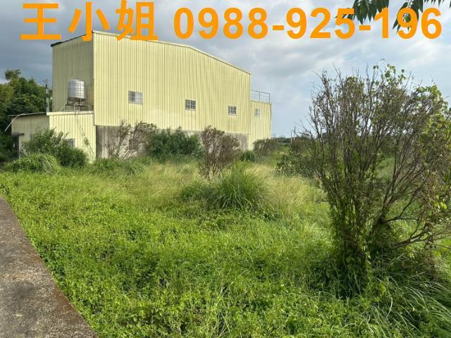 桃園觀音農地-5