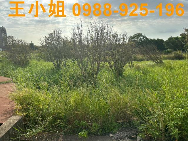 桃園觀音農地-7