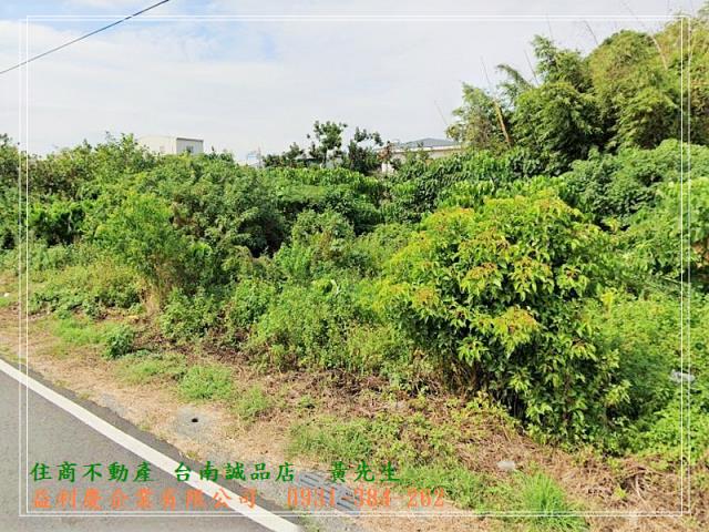 中營國小好排間美建地