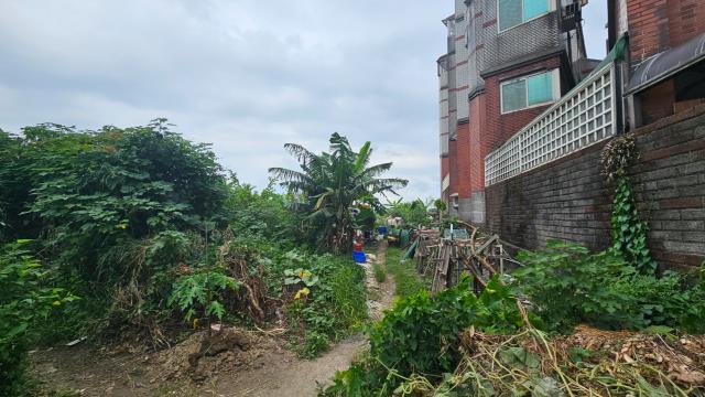 桃園農地-2