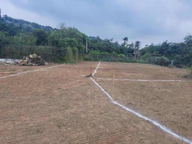桃園農地-2