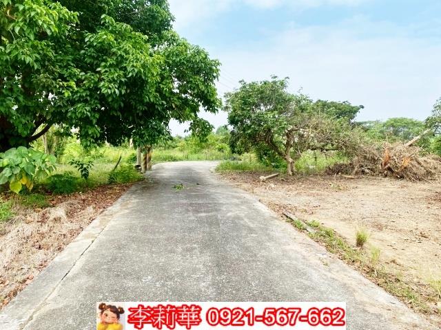 台南農地-2