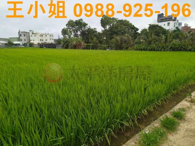 桃園桃園區農地-10