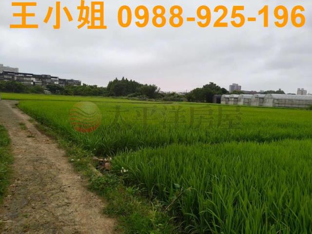 桃園桃園區農地-11