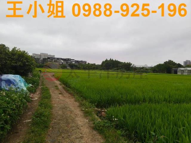 桃園桃園區農地-12