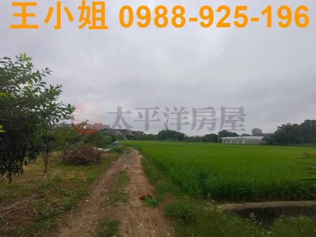 桃園桃園區農地-13