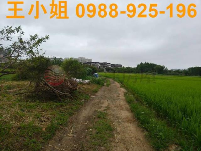 桃園桃園區農地-14