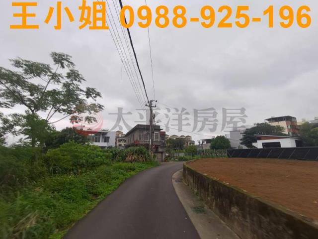 桃園桃園區農地-5