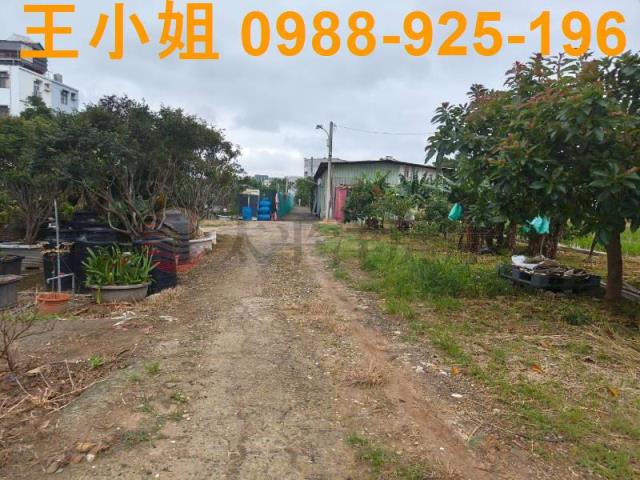 桃園桃園區農地-6