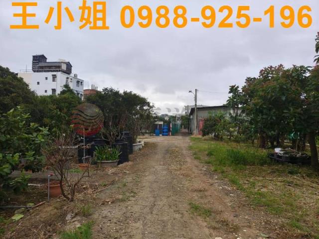 桃園桃園區農地-7