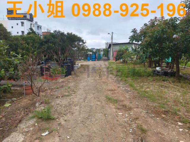 桃園桃園區農地-8