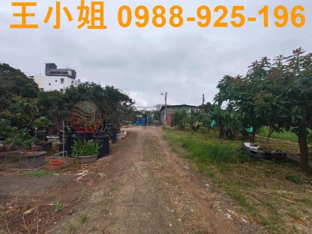 桃園桃園區農地-9