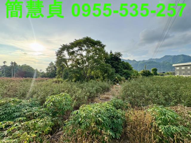 南投草屯建地-3