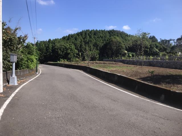 南投鹿谷農地-13