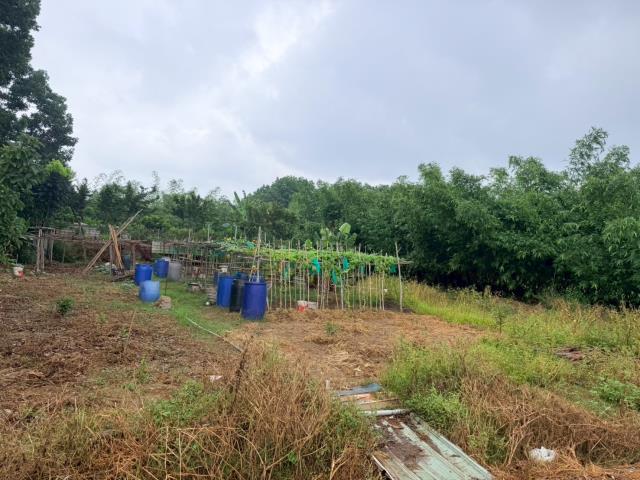 台南關廟農地-5