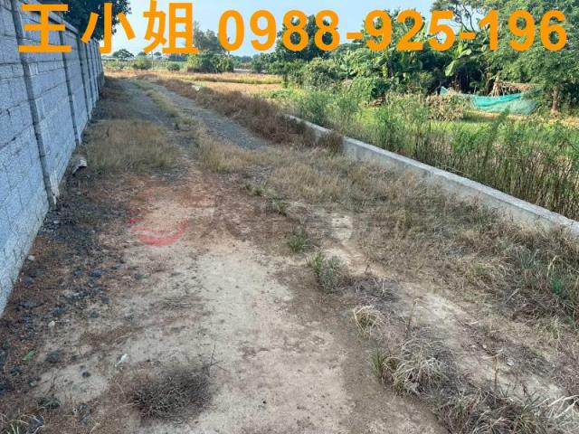 大園農地-12