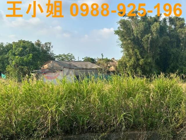 大園農地-14