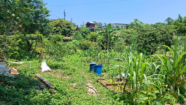 峨眉山坡地-2